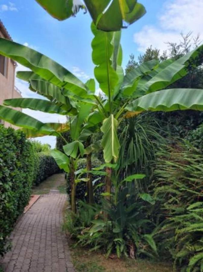 Nice Studio 30 M With Terrace And Pool Antibes Exterior photo
